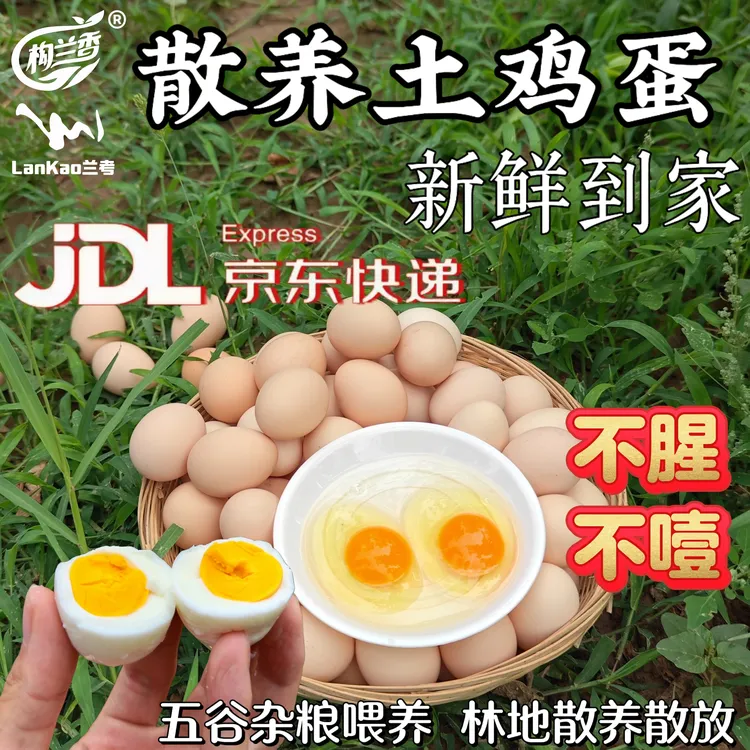 【彩箱装50枚】散养土鸡蛋农家散养柴鸡蛋新鲜无抗兰考黄河滩虫叶蛋