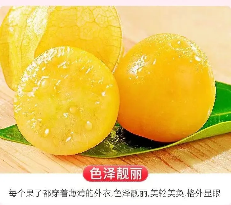 东北特产姑娘果精品小果箱装灯笼果洋菇娘果农自产自销灯笼果
