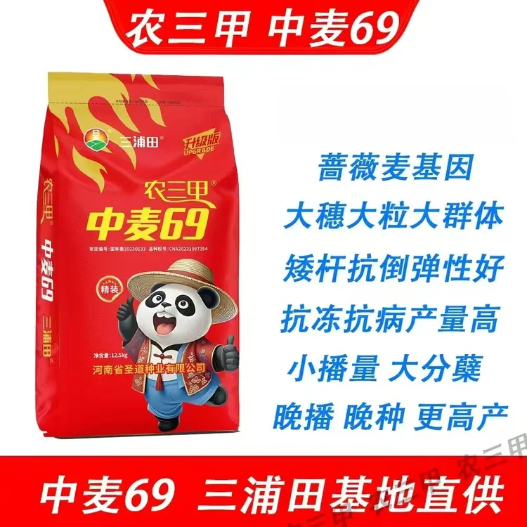农三甲中麦69（辰科 万民）角质粮抗倒伏能力强 冬性小麦品种