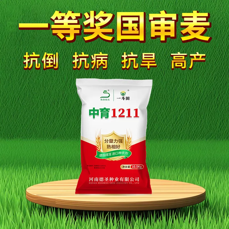 中育1211高产小麦种10.5kg抗冻抗寒抗倒伏穗大-公开