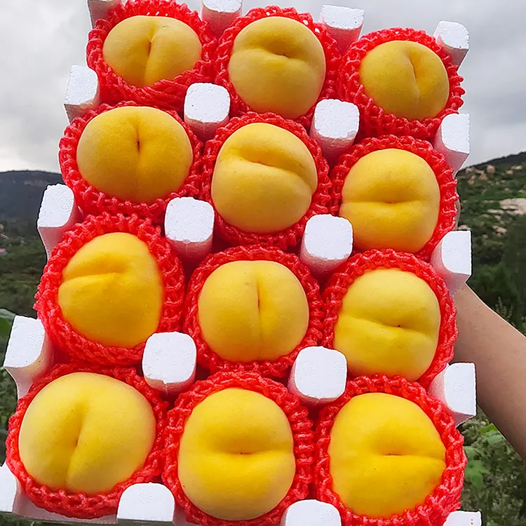 正宗蒙阴黄桃金皇后脆桃黄金水蜜桃子新鲜水果礼盒应季产地直发