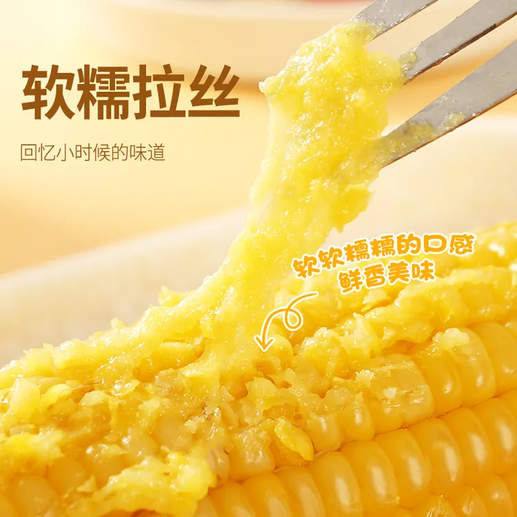(试吃5支)25年头茬东北黄糯玉米现摘香甜软糯10支装新鲜采摘