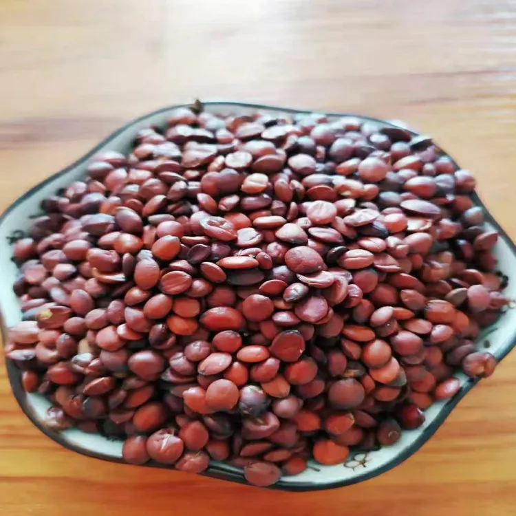 高品质精选河北国产饱满度高的酸枣仁98手选货保证真品