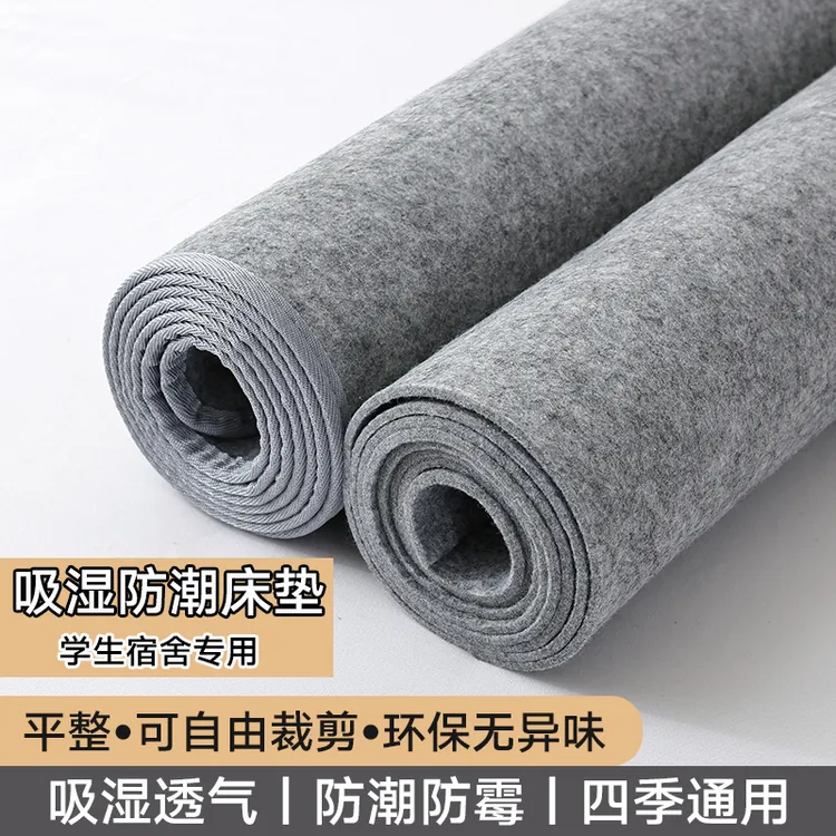 隔潮单人床榻榻米防霉隔脏去湿气防潮床垫床上用学生宿舍专用垫子