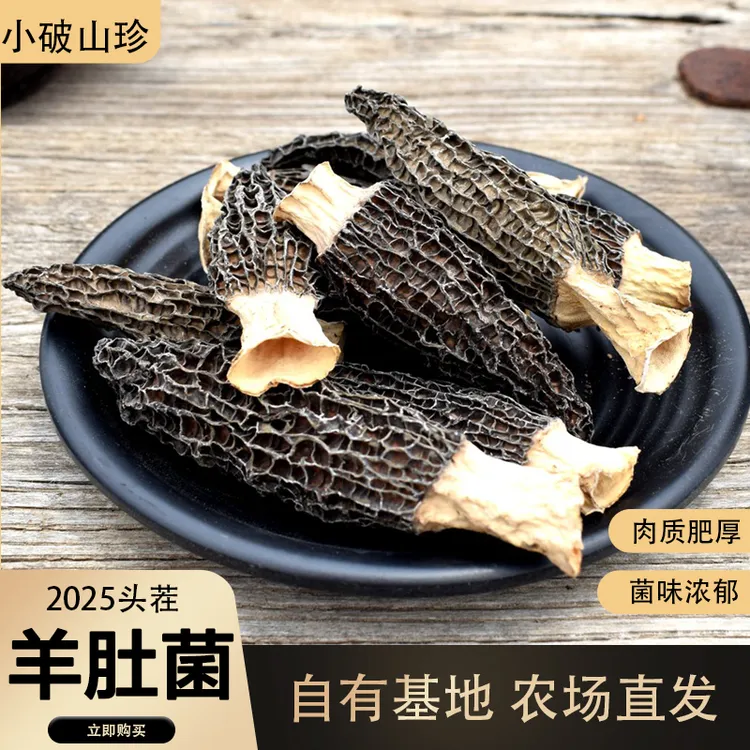 4-7干品头茬羊肚菌自有农场自产自销羊肚菌