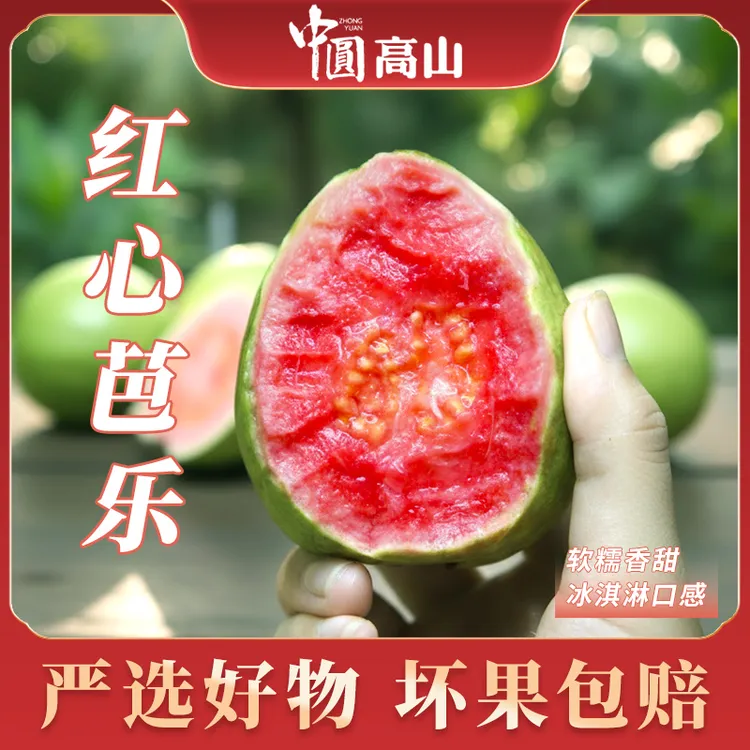 正宗芭乐红心软糯可口冰激凌口感放软吃番石榴应季新鲜水果
