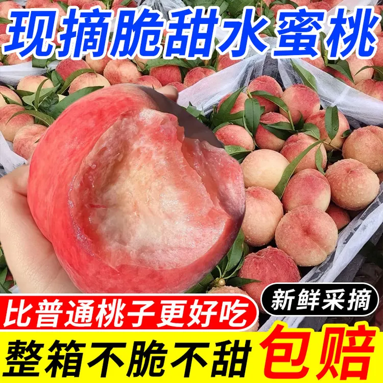 【现摘现发】正宗水蜜桃脆甜多汁新鲜应季水果产地直发坏果包赔批发