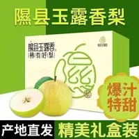 2025山西隰县玉露香梨新鲜稀有香甜酥脆薄皮礼盒装产地直发