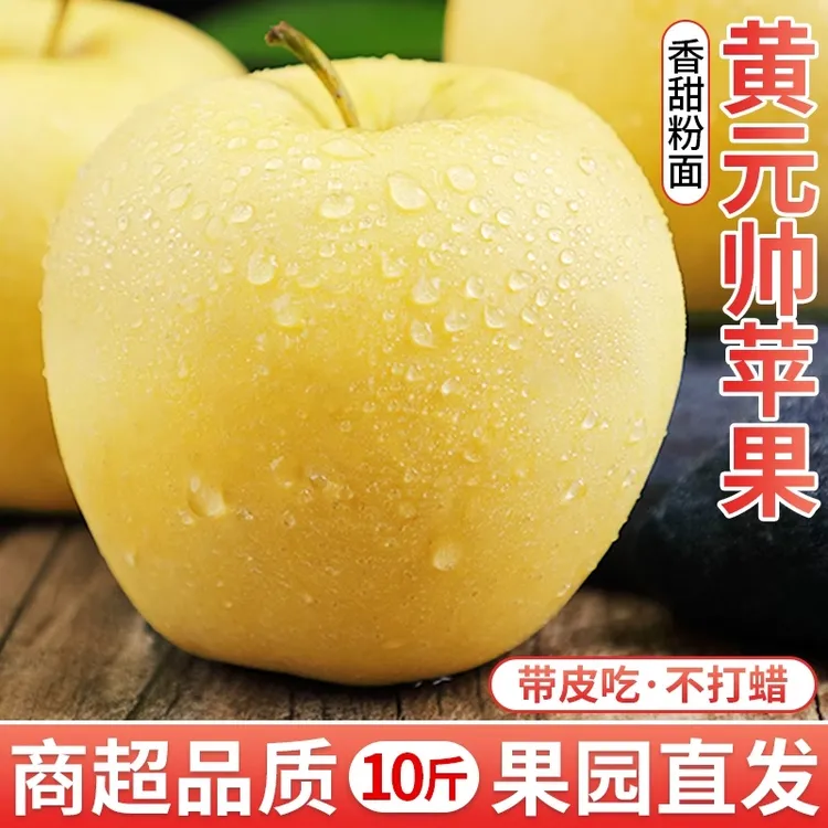 新鲜水果应季甘肃天水秦安黄元帅苹果粉面整箱当季现摘