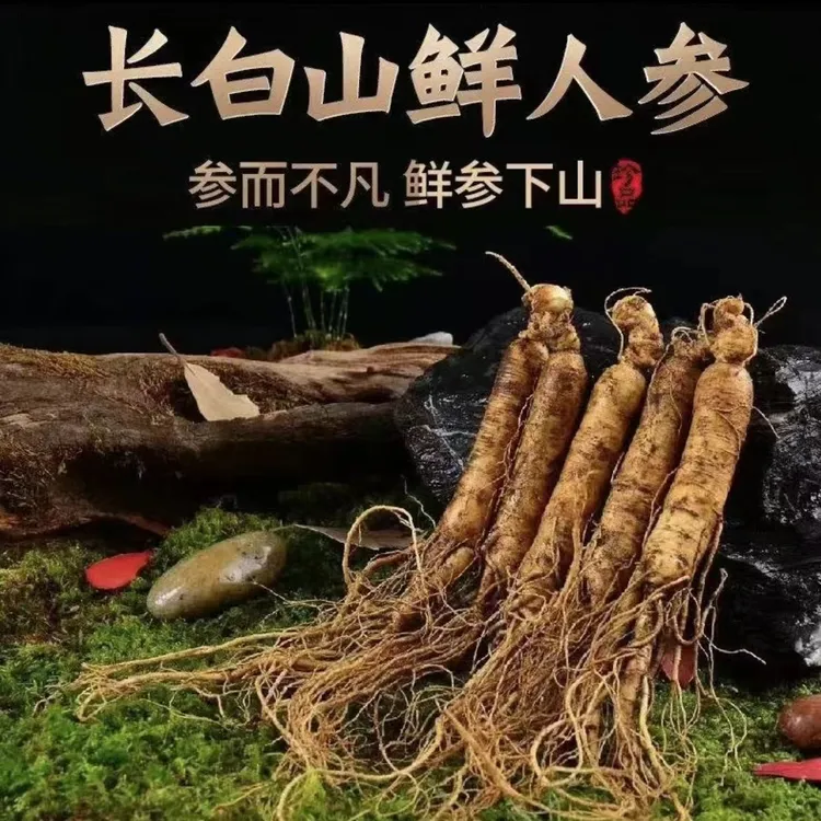 人参林下参野山参泡酒专用以直播间现场为准改价链接