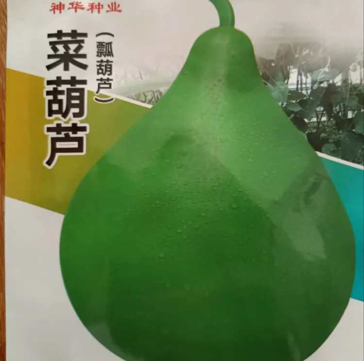 【菜葫芦种子】水瓢葫芦大葫芦籽四季观赏开瓢葫芦