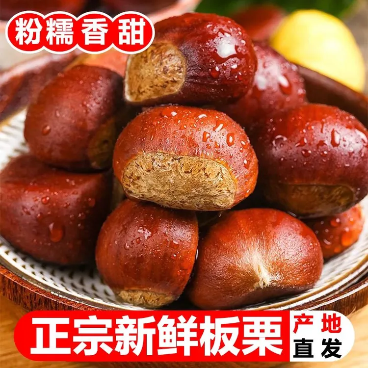 新鲜丹东大板栗生板栗菜栗5斤软糯甜香难剥皮非迁西建瓯油栗锥栗