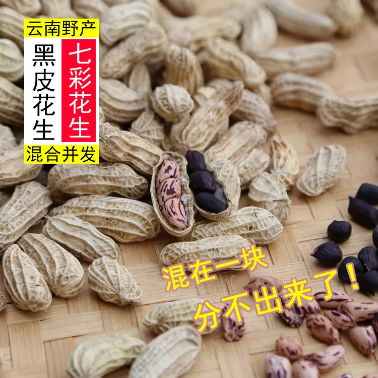 云南特产【七彩混合黑花生】带壳初级农副产品新鲜晒干软糯香甜