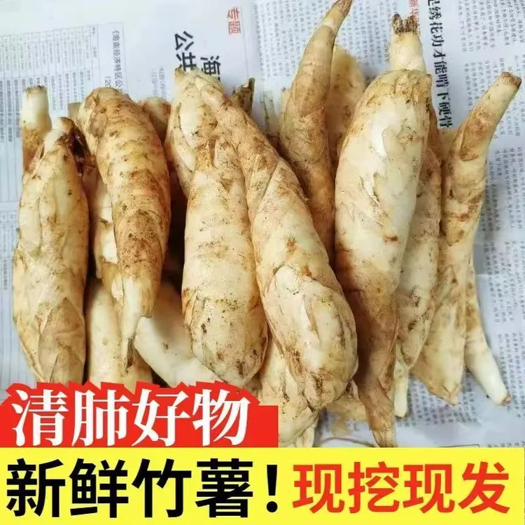 新鲜竹薯农家自钟冬薯竹芋有皮凉粉薯冬苓薯中小薯绵薯粉煲汤食材