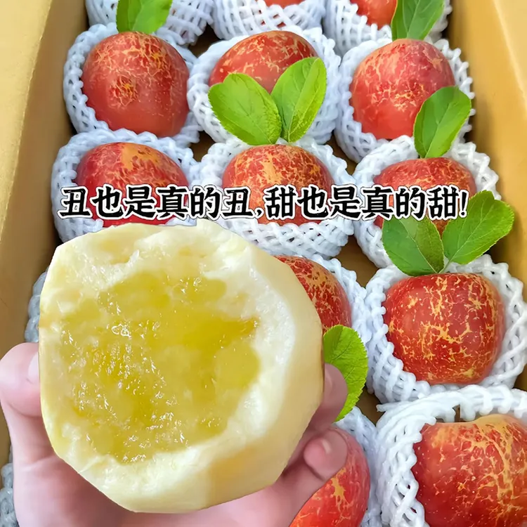 大果70mm+】云南昭通丑苹果脆甜多汁不打蜡新鲜水果现摘包邮