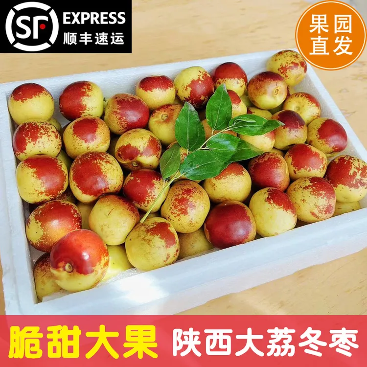 末浅【顺丰包邮】正宗陕西大荔冬枣新鲜现摘应季水果皮薄脆甜大果
