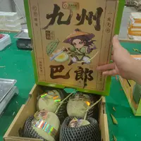 【姜婆礼盒】新到九州巴郎网纹瓜，送人倍有面子，嘎嘎甜甘肃省