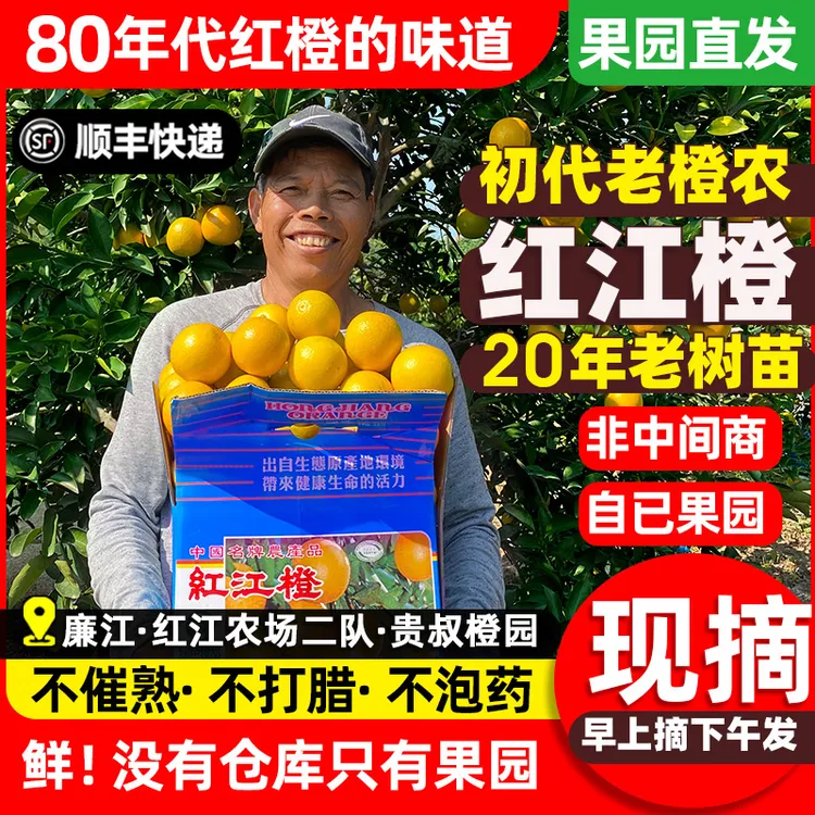正宗红江橙红江农场现摘现发廉江红江橙廉江红橙子甜橙新鲜