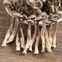 2025年新货鹿茸菇50克*4袋菌菇干货古田特产用于煲汤炒肉的食用菌