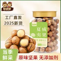 憨豆熊_新货夏威夷果罐装500g大颗粒壳薄奶香十足营养坚果JD