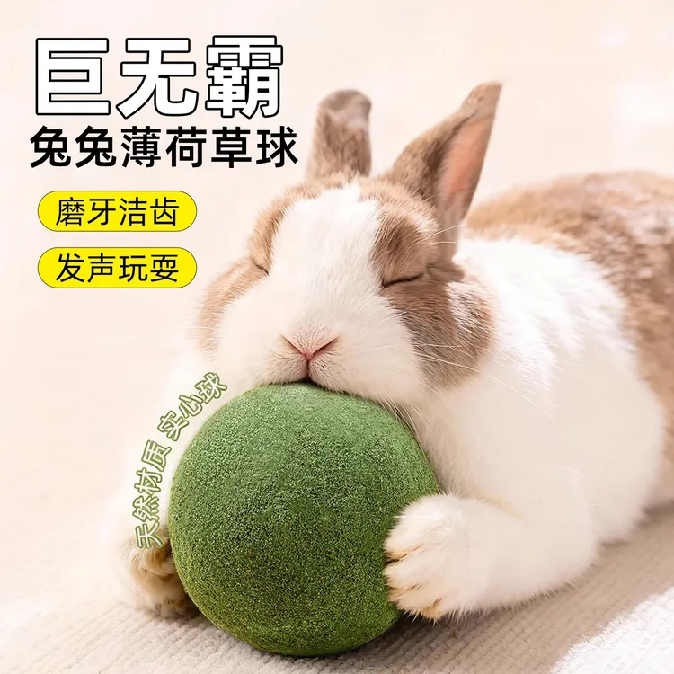 兔子玩具零食磨牙棒解闷草球侏儒兔豚鼠专用零食龙猫薄荷宠物用品