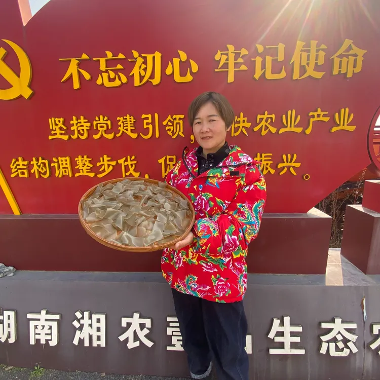 正宗湖南特产手工红薯长条粉皮火锅凉拌好食材