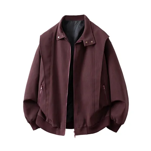 秋季立领保暖男厚款免烫皮衣休闲短款男士连帽春秋短款时尚