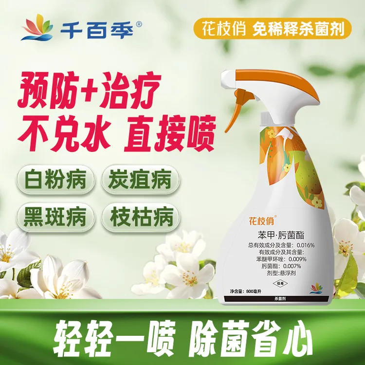 千百季花枝俏免稀释直喷家月季白粉病黑斑病兰花炭疽病防治喷雾