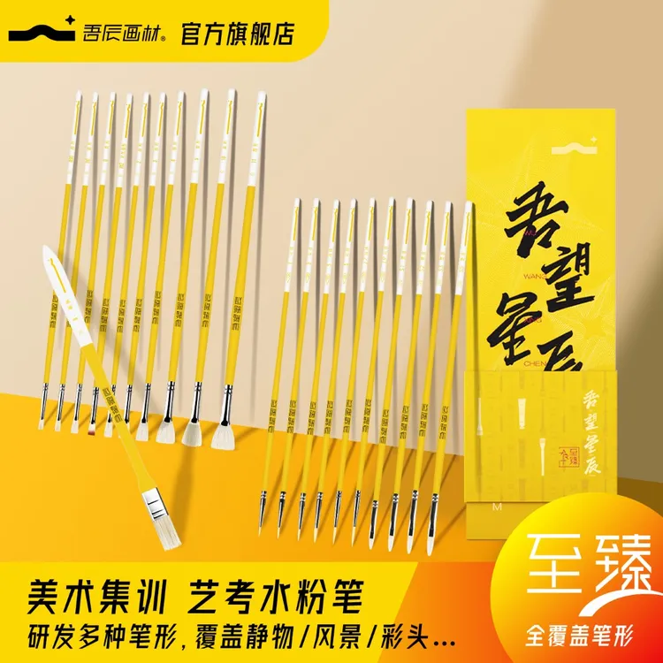 吾望星辰至臻水粉笔套装全套美术生专用艺考生礼品猪鬃扇形笔