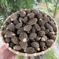 云南土特产 现收山货 精致草莓羊肚菌