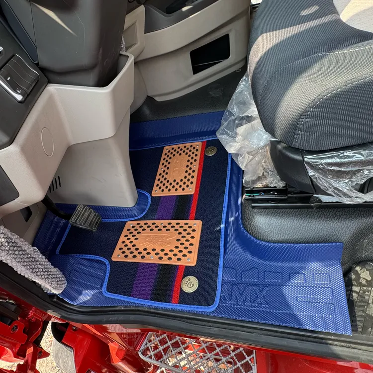 货车解放JH6豪沃天龙欧曼德龙杰狮乘龙TPE防水耐磨专用脚垫全覆盖