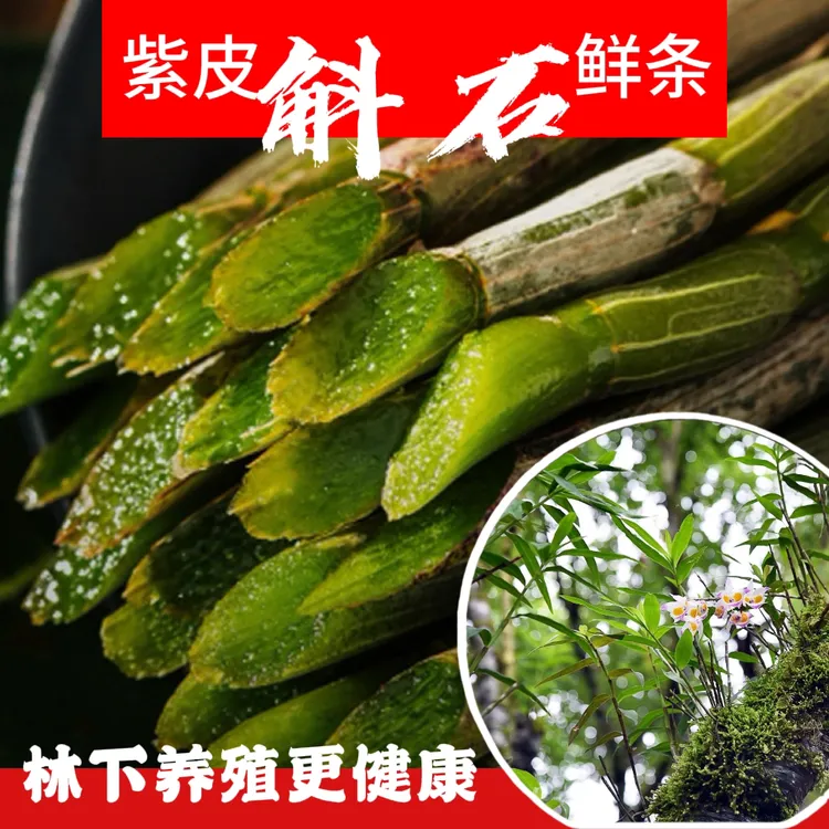 云南林下养殖紫皮石斛鲜条 /煲汤 /榨汁/泡酒/煲粥/生吃