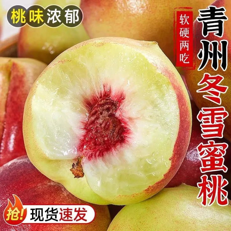 青州小蜜桃冬桃脆甜正宗山东青州桃子新鲜采摘