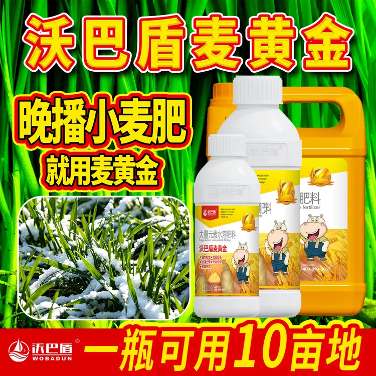 沃巴盾麦黄金正品小麦生根壮苗促茎抗逆抗倒穗大粒饱增产水溶肥A2商品图