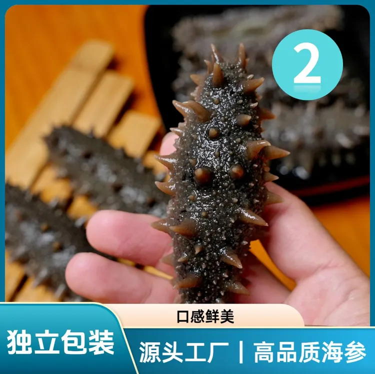 【辽参·鲜食海参】鲜蒸海参·筋道口感｜无冰衣独立包装