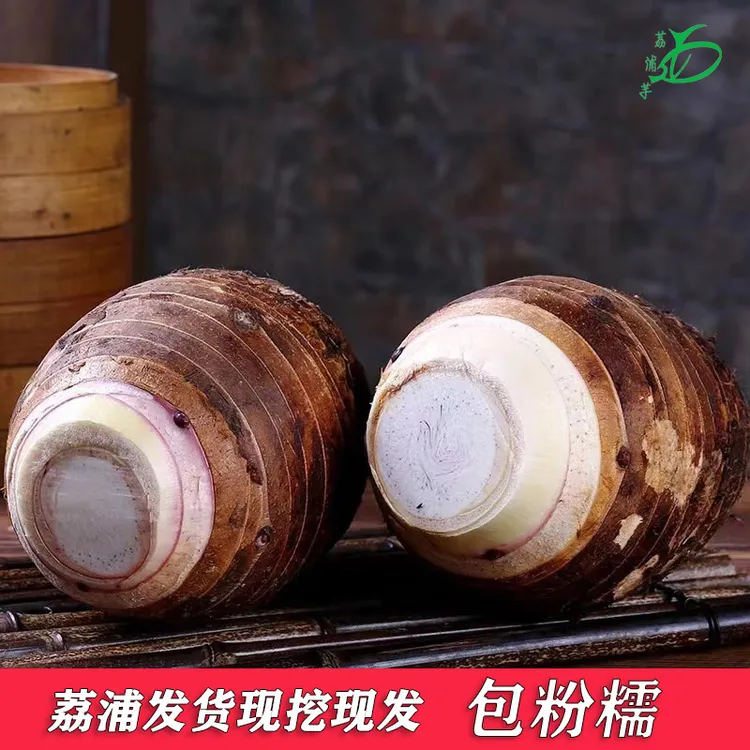 正宗广西荔浦芋头产地现挖现发香芋新鲜蔬菜火锅食材2/3/5/9斤商品图