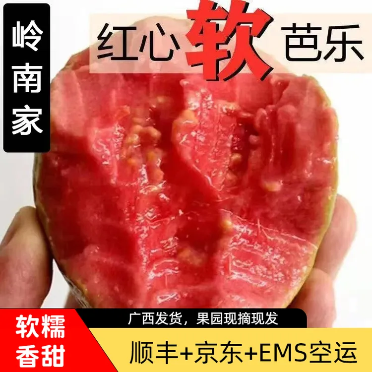 【香软大果】广西软心红心番石榴新鲜水果红心软芭乐净重3/5斤商品图