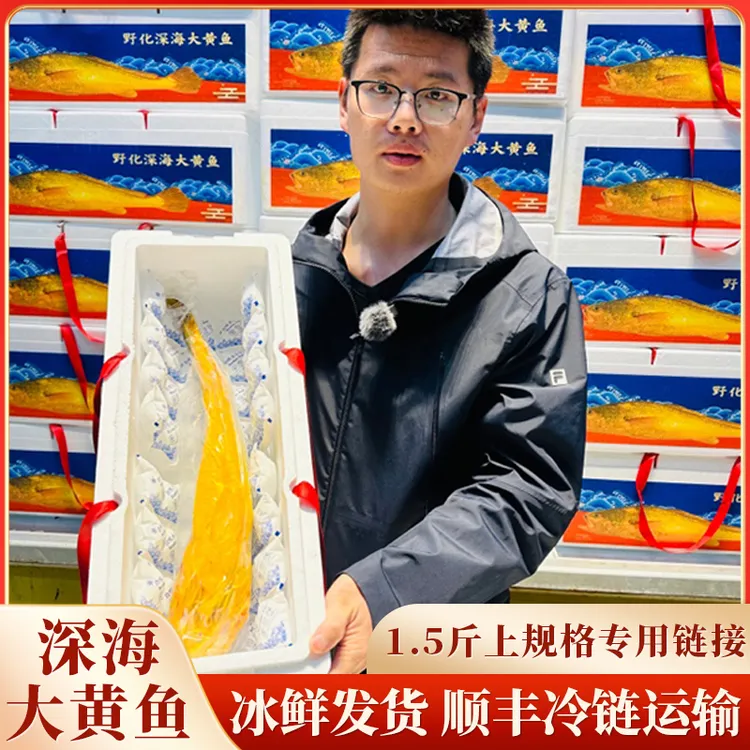 东官洋【深海大黄鱼】1.5-1.8斤规格原箱9条14.5斤上，赠2包鱼丸