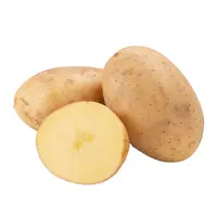 粉当当黄心土豆 约700g