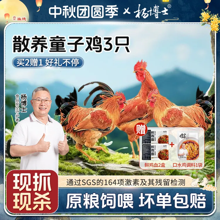 【食安放心】孩子爱吃杨博士土鸡散养童子鸡新鲜现杀 包冰率不含冰
