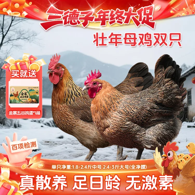 三德子【母鸡2只】炖汤煲汤老母鸡土鸡正宗散养生态鸡满屋飘香