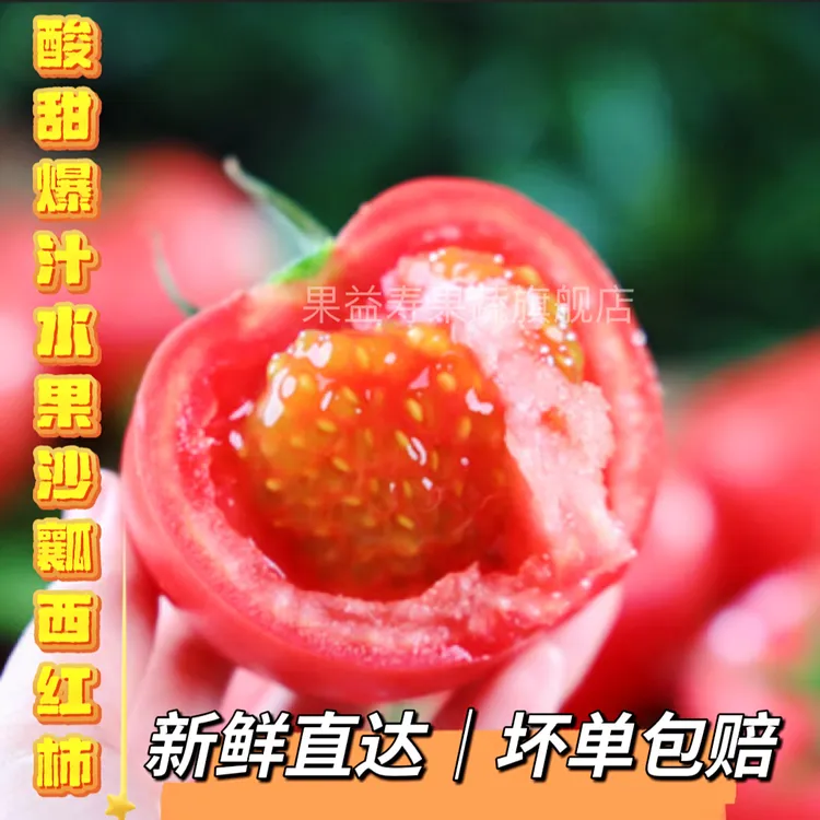 攀枝花高山露水普罗旺斯沙瓤西红柿【带箱5斤】现摘现发自然成熟