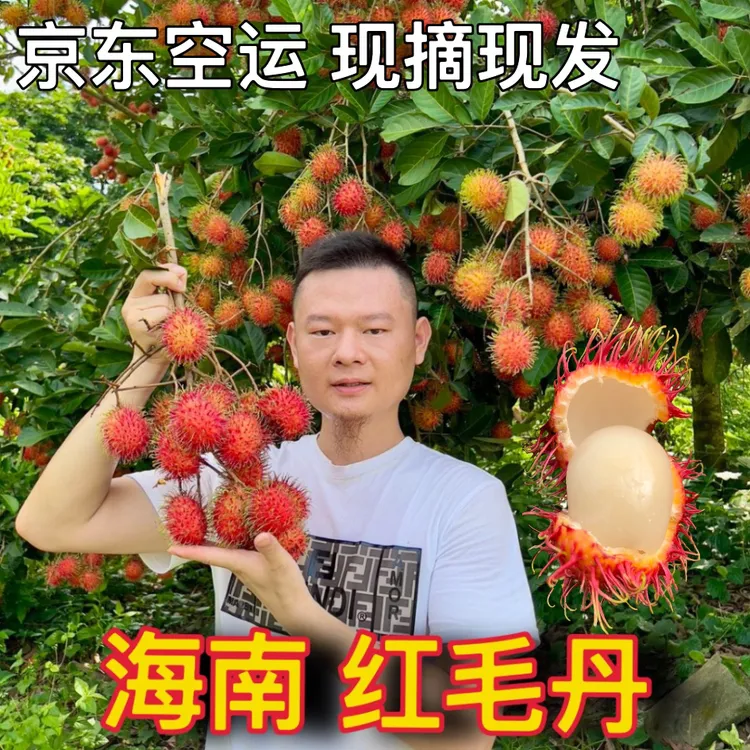 【京东空运】海南保亭红毛丹7号果礼盒装应季现摘现发孕妇水果