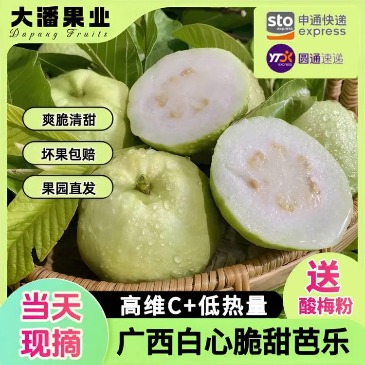 正宗珍珠番石榴白心芭乐广西产地直发新鲜采摘清甜脆口水果