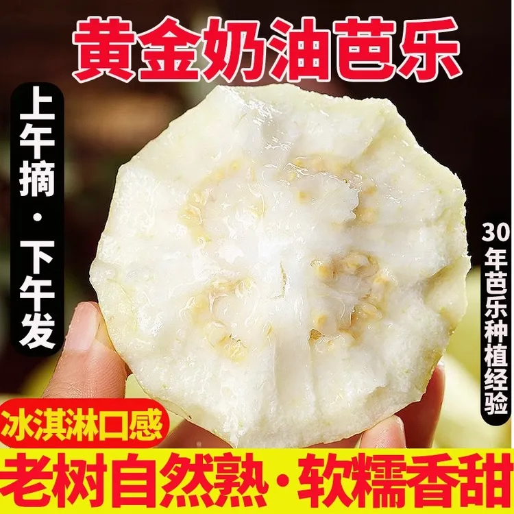 坏果包赔正宗奶油芭乐果新鲜番石榴软心现摘产地直发鸡屎果应季