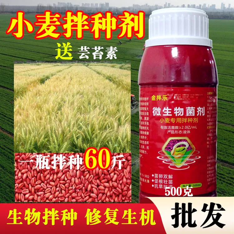 A【升级款小麦大蒜拌种剂】生根促芽增产增收包衣剂微生物菌剂