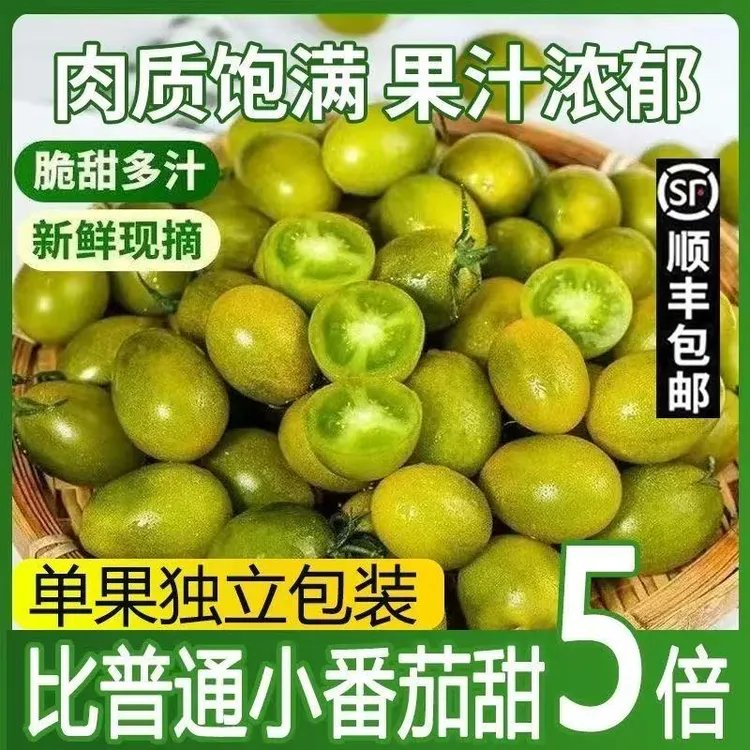 现摘高甜度青甜二号绿色小番茄新鲜多汁爽口当季水果