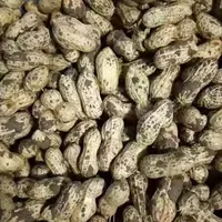 【干花生】新鲜现挖老品种农家自种新鲜花生