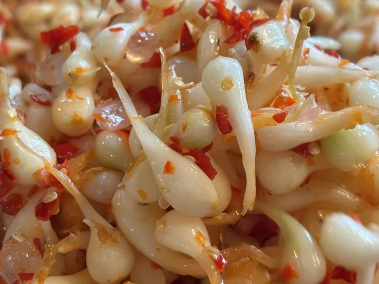 大洞湾农场手工制作酸辣酸甜藠头新鲜腌制下饭菜