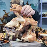 【闪购商品】柏木（崖柏）其他